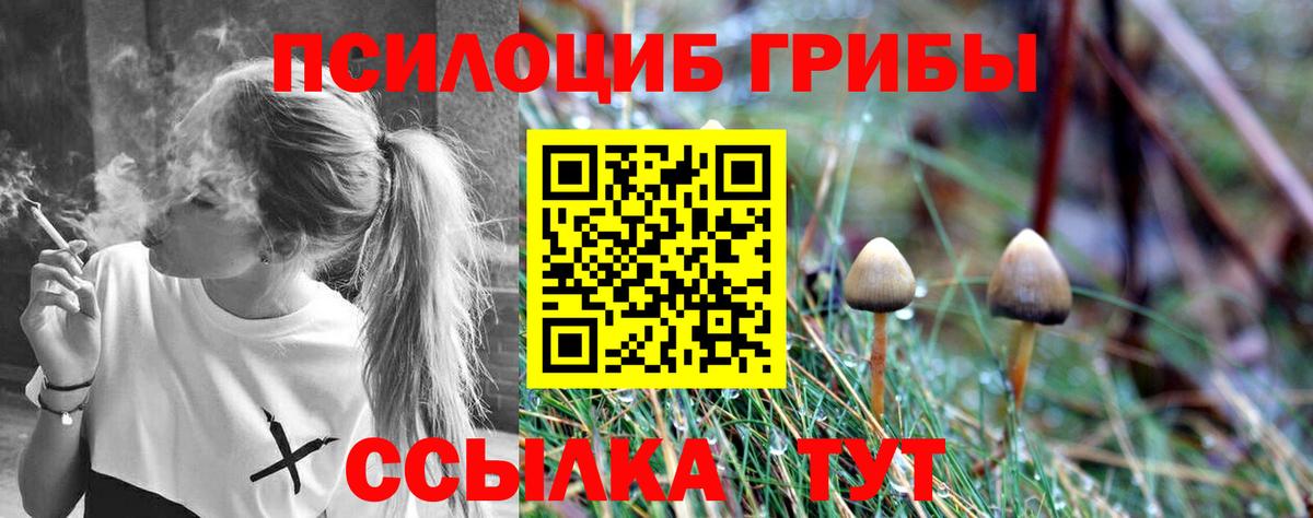 Псилоцибиновые грибы Cubensis  Вход с VPN  Джанкой 