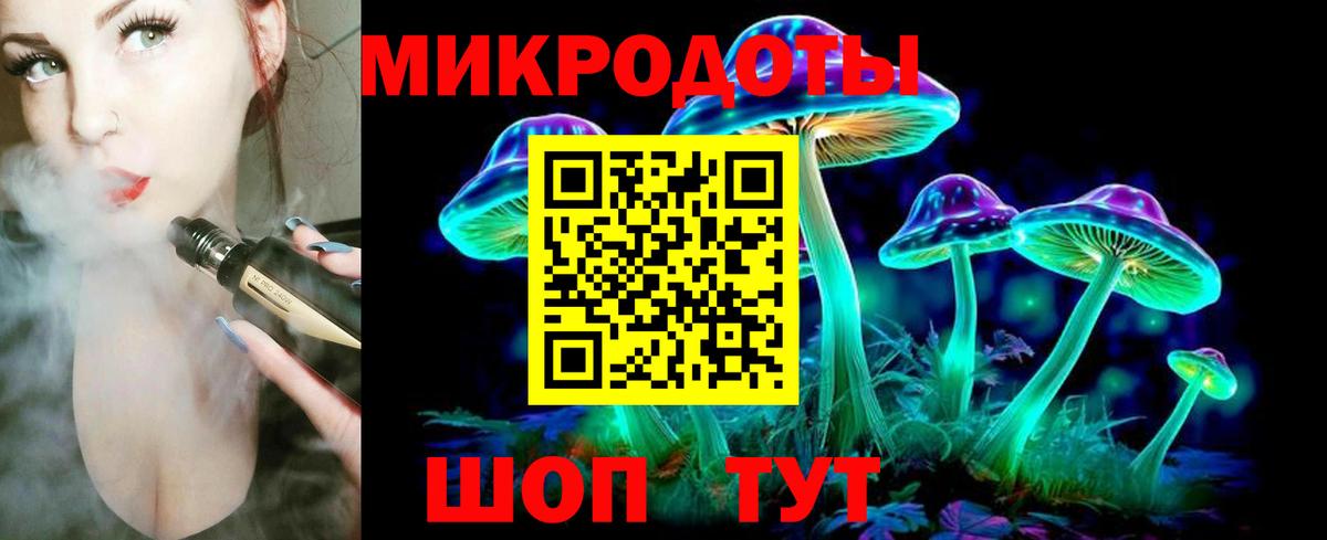 Псилоцибиновые грибы Psilocybe Джанкой